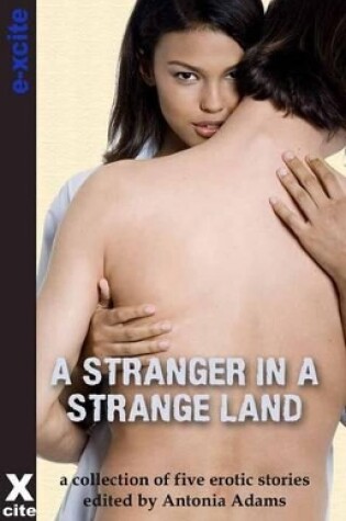 Cover of A Stranger in a Strange Land
