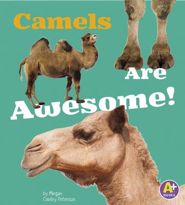 Book cover for Awesome Asian Animals Camels are Awesome