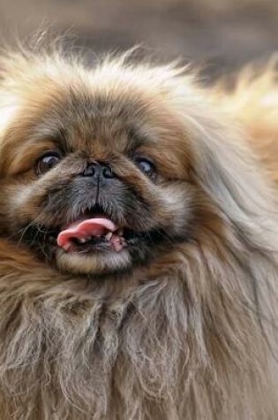 Cover of A Cutie Pie Pekingese Dog Journal