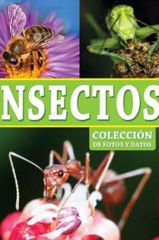 Cover of Insectos