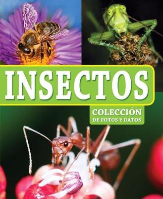 Book cover for Insectos