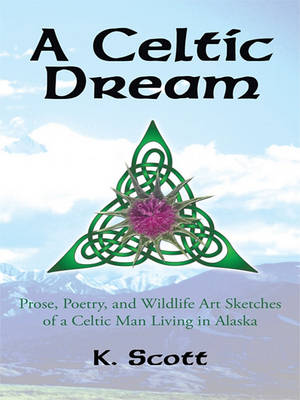 Book cover for A Celtic Dream