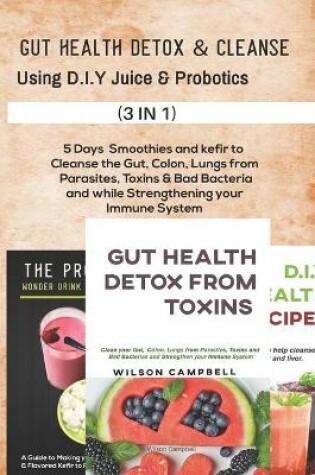 Cover of Gut Health Detox & Cleanse Using D.I.Y Juice and Probiotics