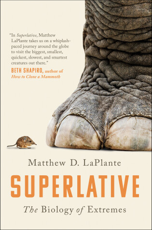 Cover of Superlative