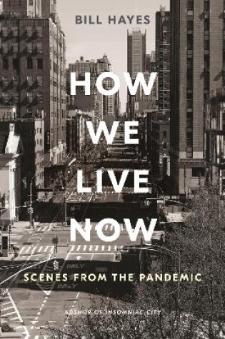 Cover of How We Live Now