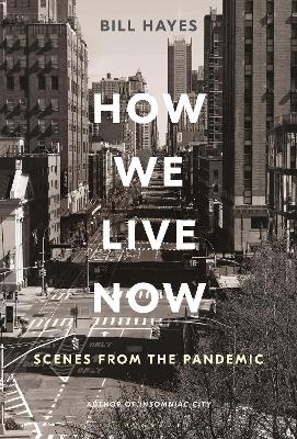 Book cover for How We Live Now