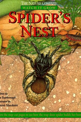 Cover of Spider's Nest