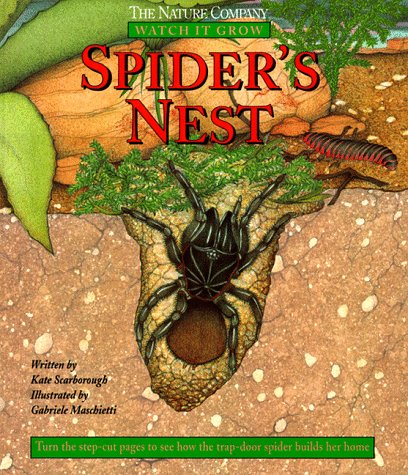 Book cover for Spider's Nest