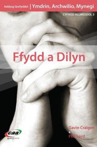 Cover of Ymdrin, Ymchwilio, Mynegi: Ffydd a Dilyn