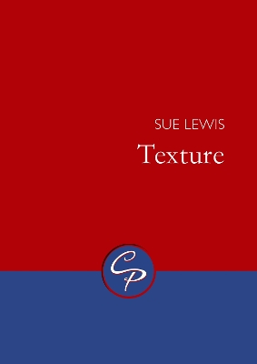 Book cover for Texture