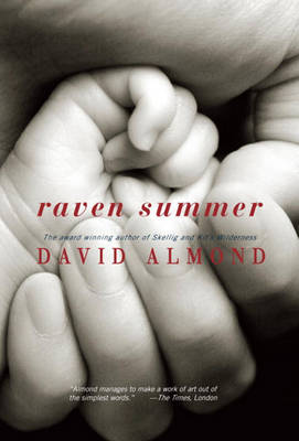 Book cover for Raven Summer