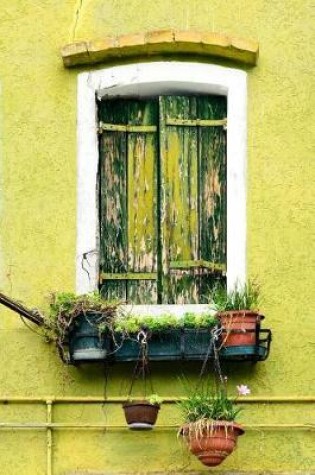 Cover of Green Plants on the Windowsill of a Rustic Stucco House Journal