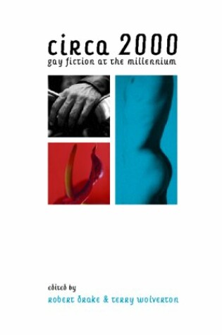Cover of Circa 2000 (gay Fiction)