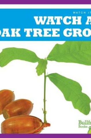 Cover of Watch an Oak Tree Grow