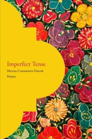 Cover of Imperfect Tense