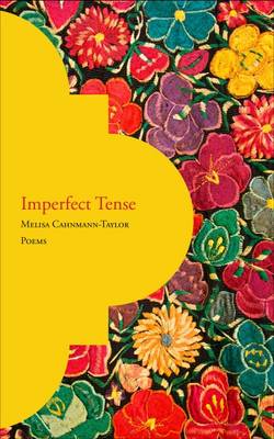 Book cover for Imperfect Tense