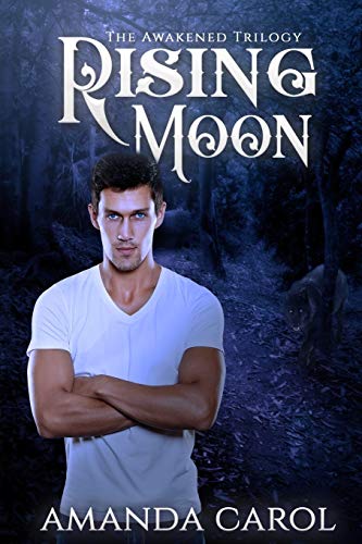 Book cover for Rising Moon