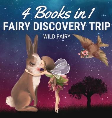 Book cover for Fairy Discovery Trip