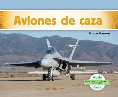 Cover of Aviones de Caza (Military Fighter Aircraft)