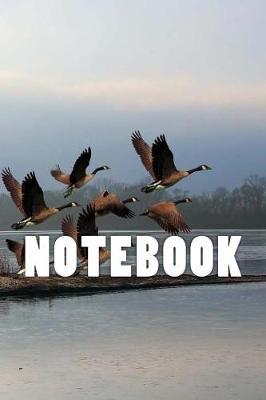 Book cover for Migrating Geese Notebook