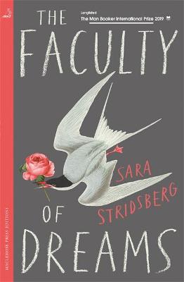 Book cover for The Faculty of Dreams