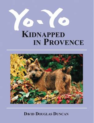 Book cover for Yo-Yo