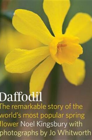 Cover of Daffodil