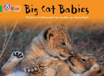 Book cover for Big Cat Babies