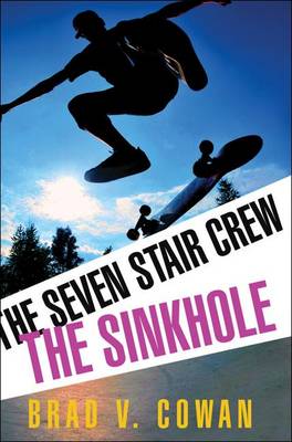 Book cover for The Sinkhole