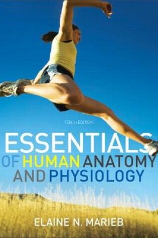 Cover of Essentials of Human Anatomy and Physiology (2-downloads)