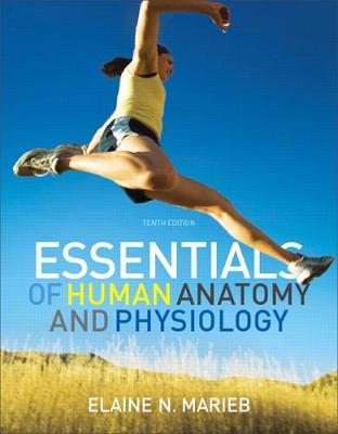 Book cover for Essentials of Human Anatomy and Physiology (2-downloads)