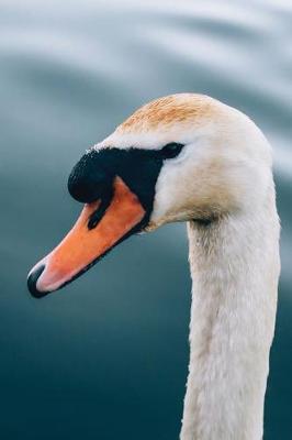 Book cover for Orange Beaked Swan on the Water