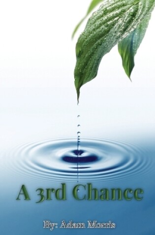 Cover of A 3rd Chance