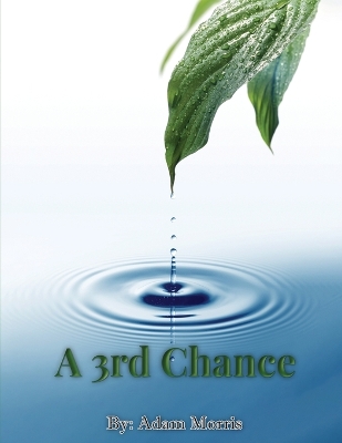 Book cover for A 3rd Chance