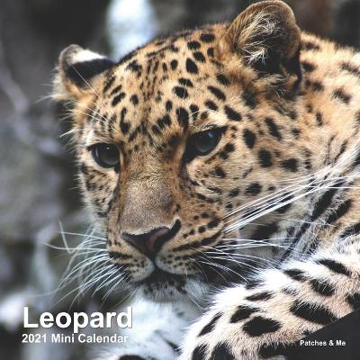 Cover of Leopard