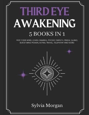 Book cover for Third Eye Awakening