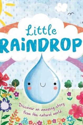 Cover of Nature Stories: Little Raindrop-Discover an Amazing Story from the Natural World