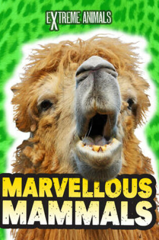 Cover of Marvellous Mammals