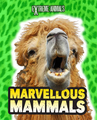 Cover of Marvellous Mammals