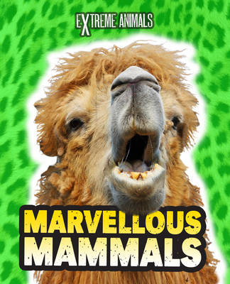 Book cover for Marvellous Mammals