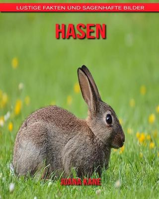 Book cover for Hasen