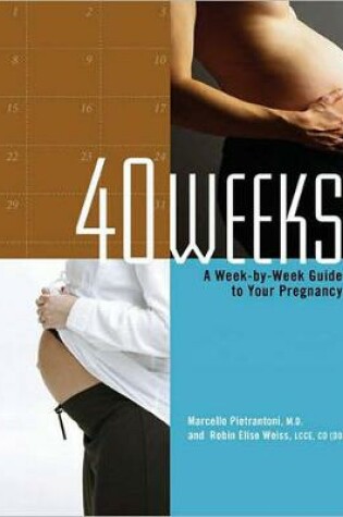 The Complete Illustrated Pregnancy Companion