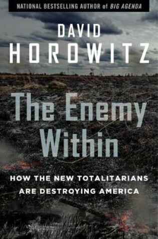 Cover of The Enemy Within