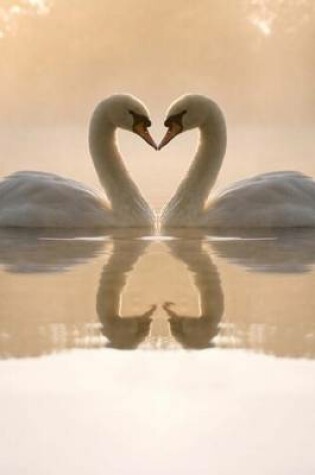 Cover of Love Is in the Air, Two Beautiful Swans