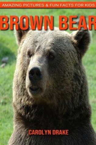 Cover of Brown Bear