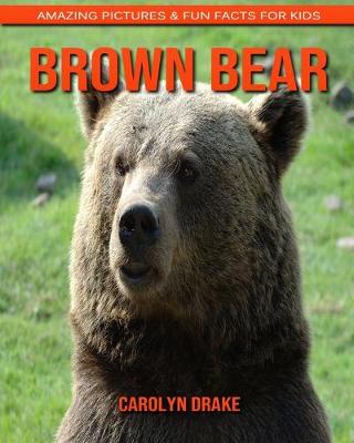 Book cover for Brown Bear