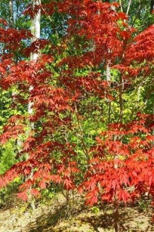 Cover of 2020 Weekly Planner Springtime Japanese Maple Forest Background 134 Pages