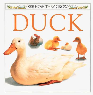 Cover of Duck