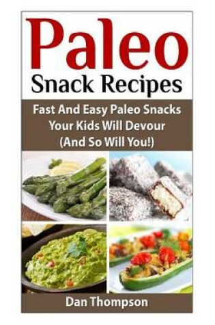 Cover of Paleo Snack Recipes