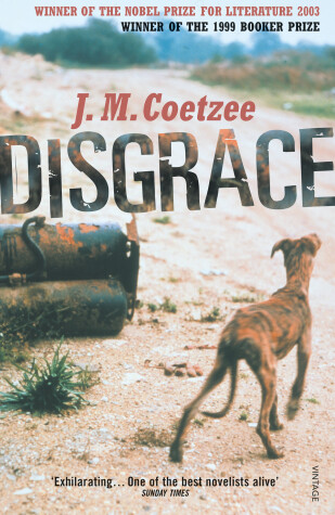 Book cover for Disgrace